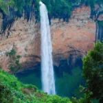 Exploring the Pearl of Africa: Uganda’s Timeless Safari Secrets