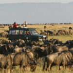 Filming the Great Migration