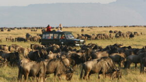 Filming the Great Migration