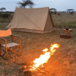 Game Viewing Safari in Serengeti National Park