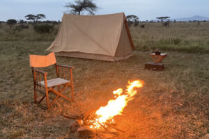Game Viewing Safari in Serengeti National Park