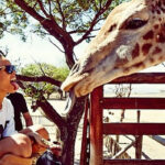 Five-Star Safari Dining Experiences