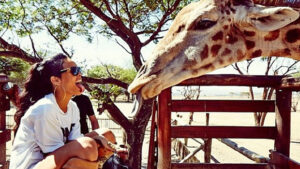 Five-Star Safari Dining Experiences