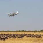 Fly-In Safaris Across East Africa’s Iconic Parks
