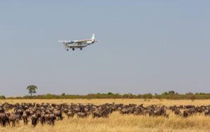 Fly-In Safaris Across East Africa’s Iconic Parks