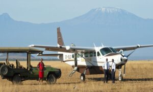 Flying vs Driving Safaris: Pros and Cons