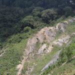 Colobus Monkeys Trekking in Rwanda