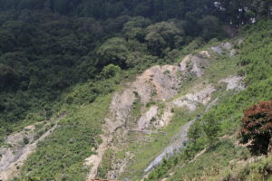 Colobus Monkeys Trekking in Rwanda