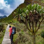 Hiking the Rwenzori Mountains: Africa’s Hidden Alps