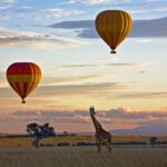 Hot Air Balloon Safaris Over the Savannah