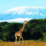 How to Combine Kilimanjaro, Serengeti, and Zanzibar in One Trip