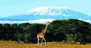 How to Combine Kilimanjaro, Serengeti, and Zanzibar in One Trip