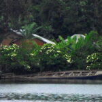 Idjwi Island | The Peaceful Heart of Lake Kivu