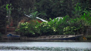 Idjwi Island | The Peaceful Heart of Lake Kivu