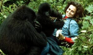 Inspirational Travelers Who Found Purpose in Africa