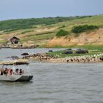 Boat Cruise Trips in Uganda