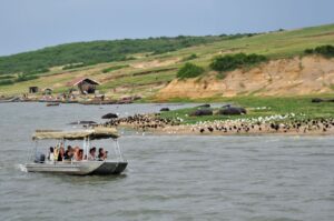 Boat Cruise Trips in Uganda