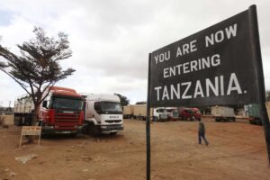 Kenya–Tanzania Cross-Border Safari Adventures