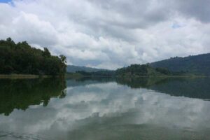 Top Safari Deals for 2025–2026