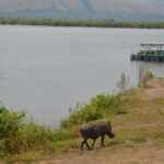 Best Uganda Safaris & Holidays 2024/25