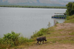 Best Uganda Safaris & Holidays 2024/25