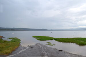 Lake Nakuru78