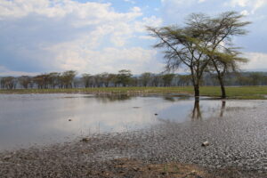 Lake Nakuru_