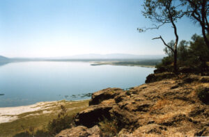 Kenya Camping Safaris – Budget Tours in Kenya