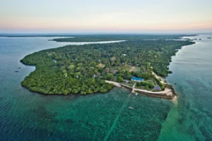Mafia Island: Tanzania’s Underwater Treasure