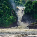 Murchison Falls: The Most Powerful Waterfall in the World