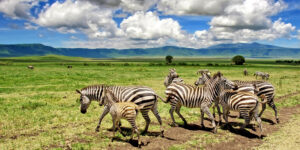 Ngorongoro Crater: Africa’s Garden of Eden