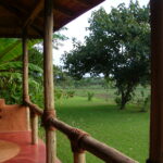 Central Serengeti & Seronera Valley