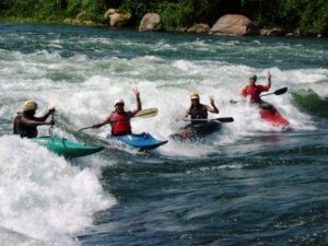 Enjoyable Activities To Do in Ugandan Forests
