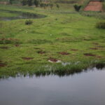 Nkotsi Village | A Taste of Rwandan Culture and Traditions