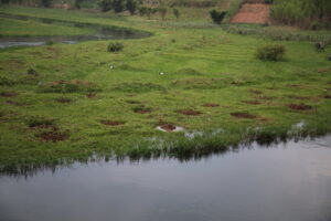 Nkotsi Village | A Taste of Rwandan Culture and Traditions