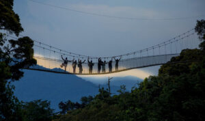 Nyungwe Forest: Canopy Walks Above the Primates