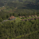Nyungwe Canopy Walk Rwanda – A Thrilling Stroll Above the Rainforest
