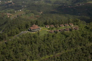 Nyungwe Canopy Walk Rwanda – A Thrilling Stroll Above the Rainforest