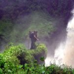 Best 5 Rwanda Tour Packages – Explore the Land of a Thousand Hills
