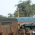 Personalized Safari Planning Tips