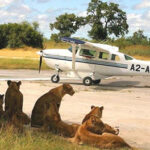 Private Jet Safaris Across East Africa