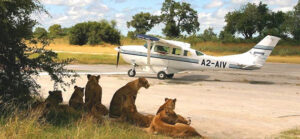 Private Jet Safaris Across East Africa