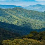 Restoring Forests: Rwanda’s Green Ambition