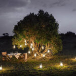 Romantic Bush Dinners Under African Skies