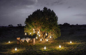 Romantic Bush Dinners Under African Skies
