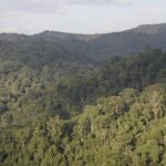 Rwanda’s Gishwati-Mukura National Park