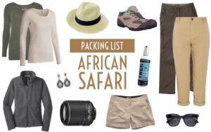Safari Packing Tips: What You Really Need