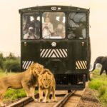 Safari by Train: The Nairobi to Mombasa Experience