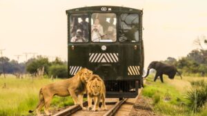 Safari by Train: The Nairobi to Mombasa Experience