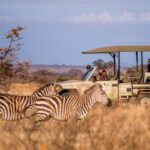 Selous Game Reserve: Africa’s Largest Wilderness Area